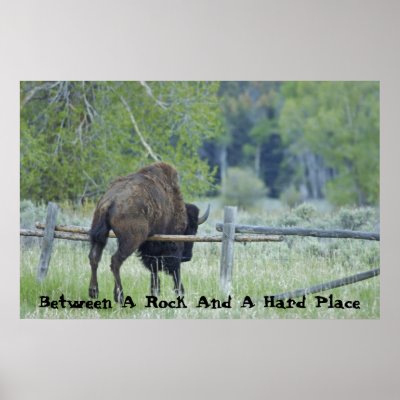 Between A Rock And A Hard Place Posters by LuAnnWilslef
