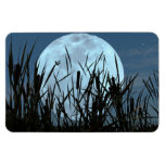 Between the Moon and Marsh Magnet