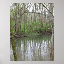 Between the Trees Print