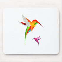 Beutiful Hummingbirds, Colibri