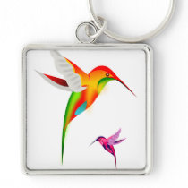 Beutiful Hummingbirds, Colibri