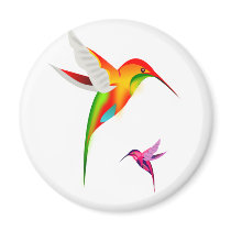 Beutiful Hummingbirds, Colibri