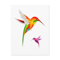 Beutiful Hummingbirds, Colibri