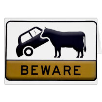Beware - Cow Car