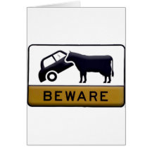 Beware - Cow Car Greeting Card