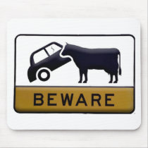 Beware - Cow Car