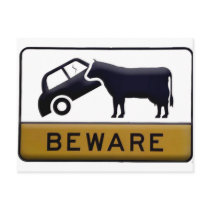 Beware - Cow Car