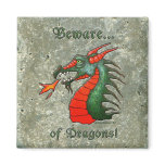 Beware Dragons magnet