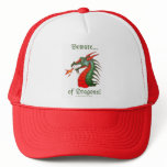 Beware of Dragons hat