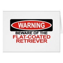 Beware Of Flat-Coated Retriever Card