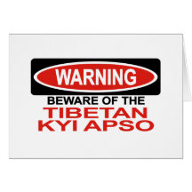 Beware Of Tibetan Kyi Apso Card