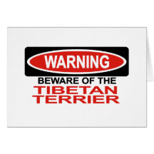 Beware Of Tibetan Terrier Greeting Cards