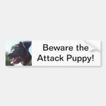 Beware the Attack Puppy Bumper Sticker