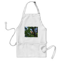Bewick's Wren Backyard Bird Aprons