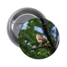 Bewick's Wren Backyard Bird Button