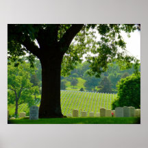 Beyond the Tree Print