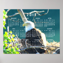 BEYR Bald Eagle Yukon River Print