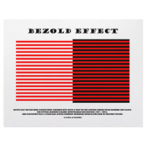 Bezold Effect (Optical Illusion)