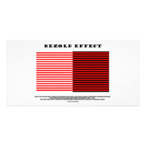 Bezold Effect (Optical Illusion)