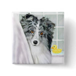 Bi Blue Sheltie Bath