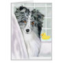 Bi Blue Sheltie Bath
