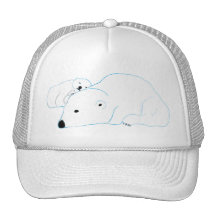 bi-polar hat