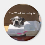 Bible lisant l'aimant de Boston Terrier