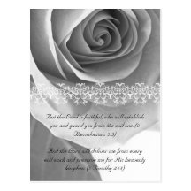 Bible passage, rose close up black and white postcard