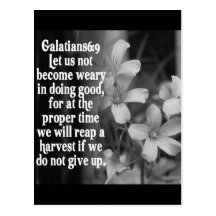BIBLE SCRIPTURE GALATIANS 6:9 POSTCARDS