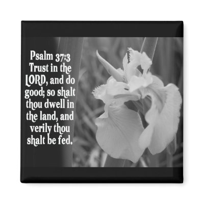 BIBLE SCRIPTURE PSALM 37:3 TRUST THE LORD by scriptures