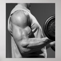 Bicep Curling Gym Wall & Health Club Poster