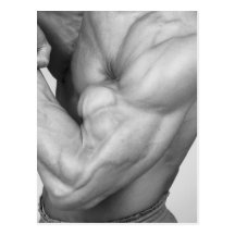 Bicep Postcard #3