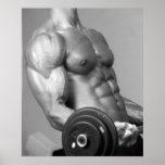 Biceps Curling Poster #5