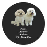 Bichon Buddies Address Label stickers