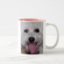 Bichon Face Coffee Mugs