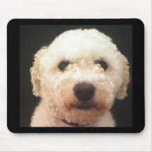 Bichon Frise 001 Mousemat