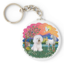 Bichon Frise #1