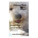 Bichon Frise Business Card business cards