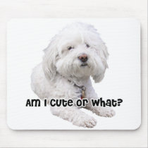 Bichon Frise Dog mousepads