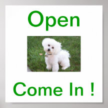 Bichon Frise Dog Open Sign Posters