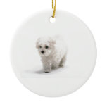 Bichon Frise Dog Ornament