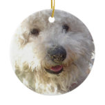 Bichon Frise Dog Ornament