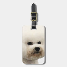 Bichon Frisé Étiquettes De Bagages