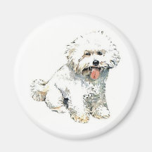 Bichon Frise Fridge Magnets