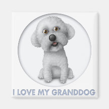 Bichon Frise Granddog Aimants