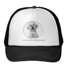 Bichon Frise Granddog Casquettes De Camionneur
