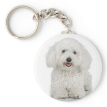 Bichon Frise keychains