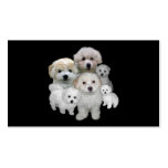 Bichon Frise Lover Business Card