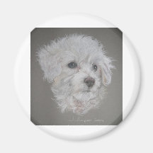 Bichon Frise Magnet
