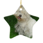Bichon Frise Ornament